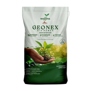 Geonex Power